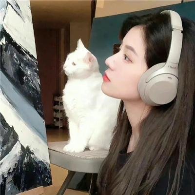 菜鸟小熊